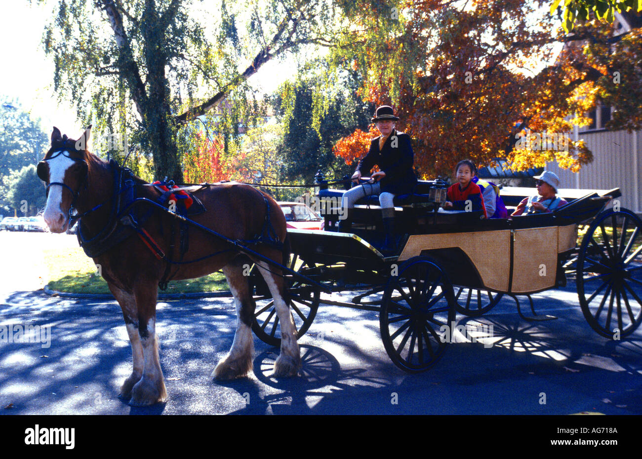 I turisti in un cavallo disegnato buggy Christchurch Isola del Sud della Nuova Zelanda Foto Stock
