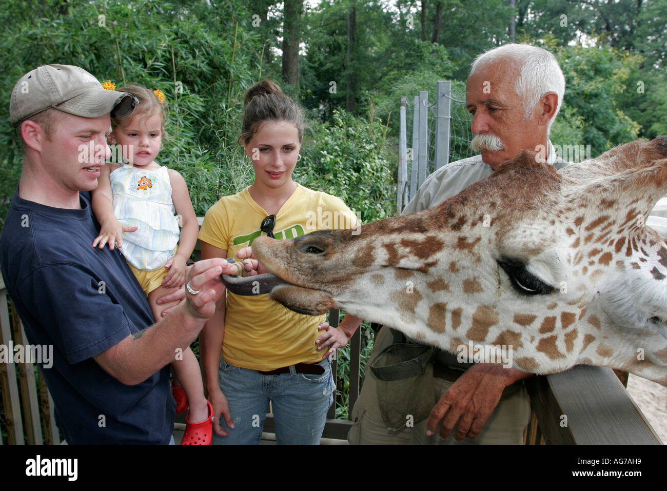 Birmingham Alabama, Zoo. alimentazione giraffe, famiglia famiglie genitori figli figli, madre mamma, padre papà, formatore, visitatori viaggio tou viaggio Foto Stock