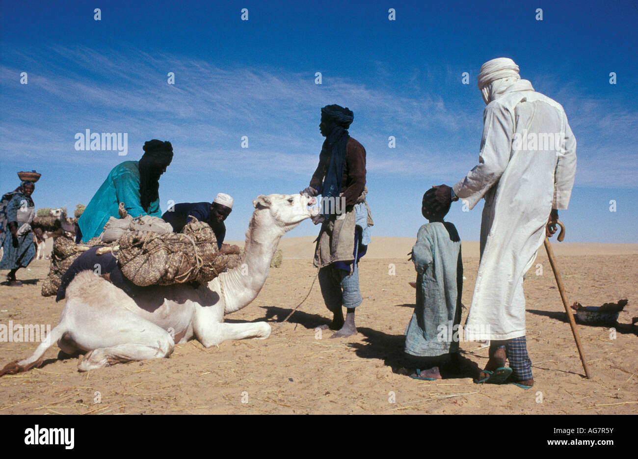 Niger Tenerè tribù Tuareg facendo sale tradizionali caravan da Agadez alle oasi Fachi e Bilma Foto Stock