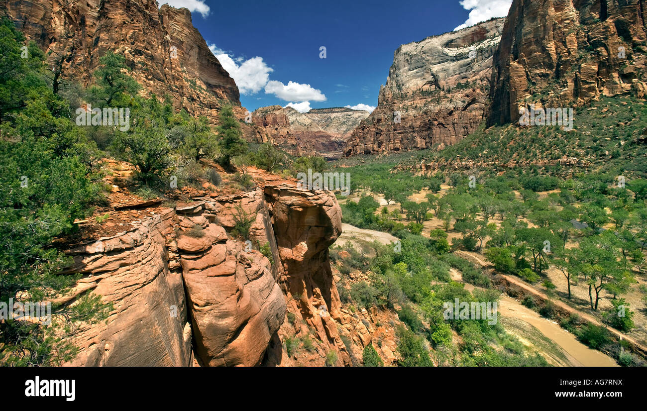 Fiume vergine Zion National Park nello Utah Foto Stock