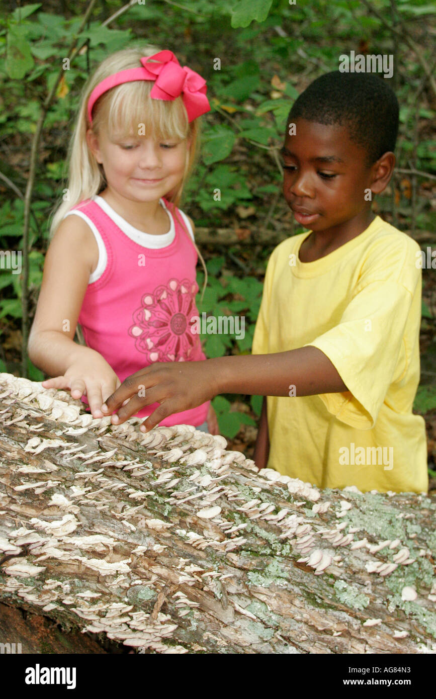 Birmingham, Alabama, Ruffner Mountain, Nature Center, campo estivo, Black Blacks African Africans etnico minoranza, studenti studenti istruzione allievo pu Foto Stock
