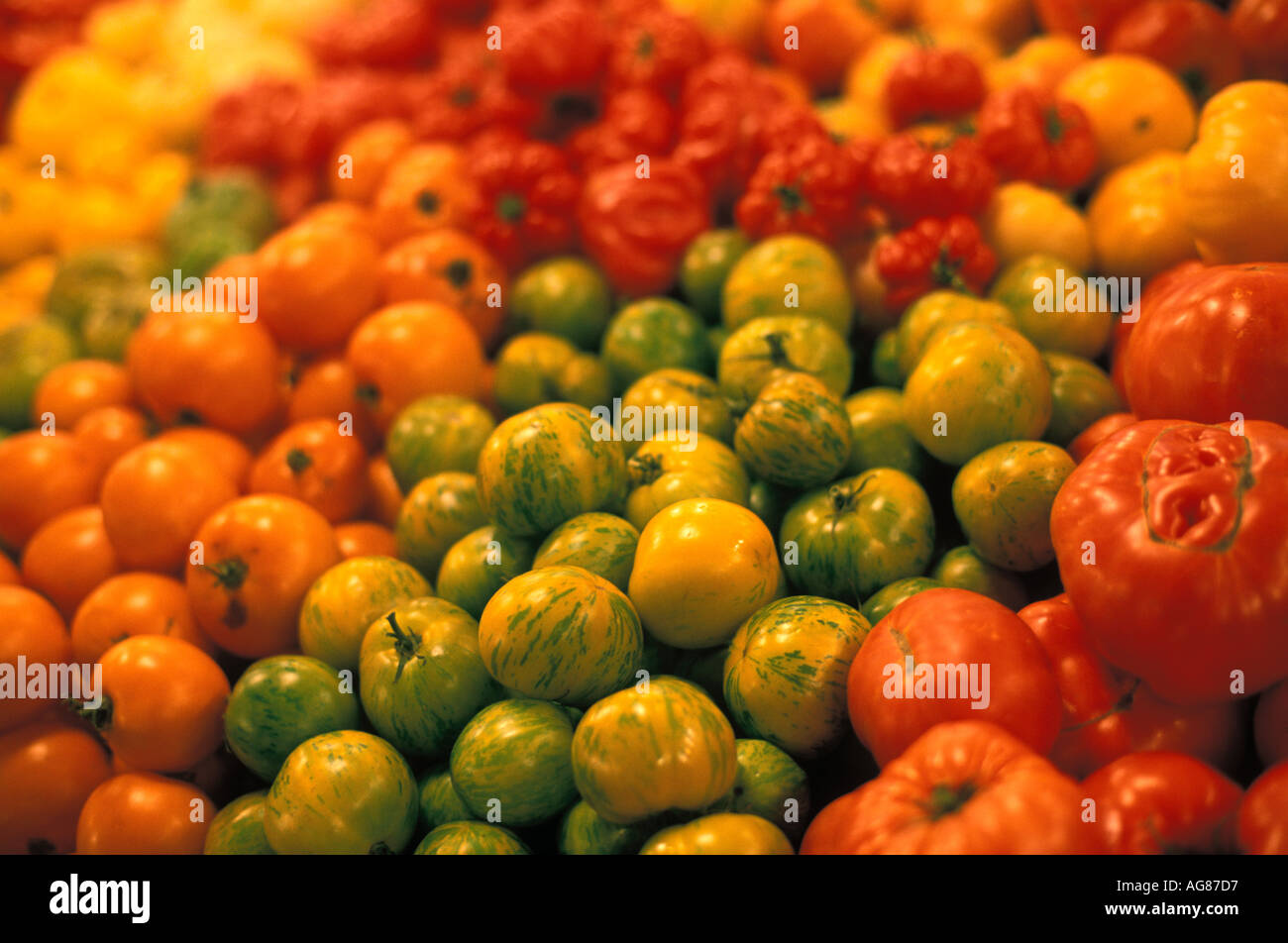 Pomodori sul display a s Pike Place Market di Seattle WA Foto Stock