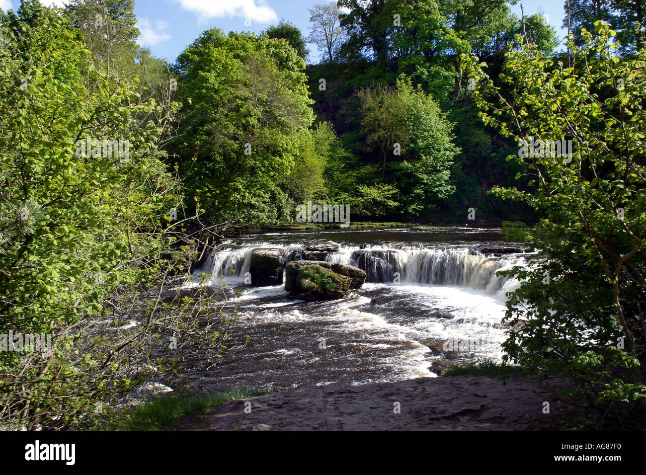 Aysgarth Falls sono una tripla Fuga di cascate, scavate dal Fiume Ure nel Yorkshire Dales Foto Stock