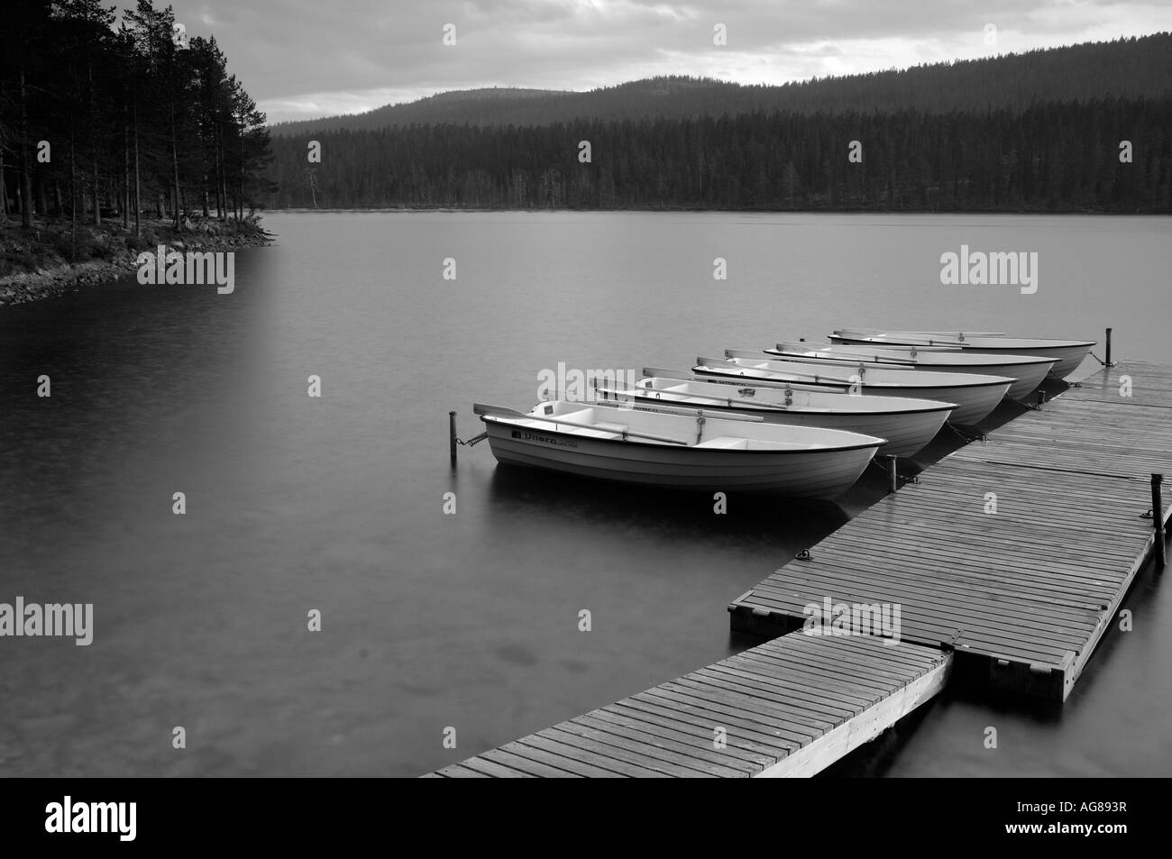 Fila di barche in fase di atterraggio Foto Stock