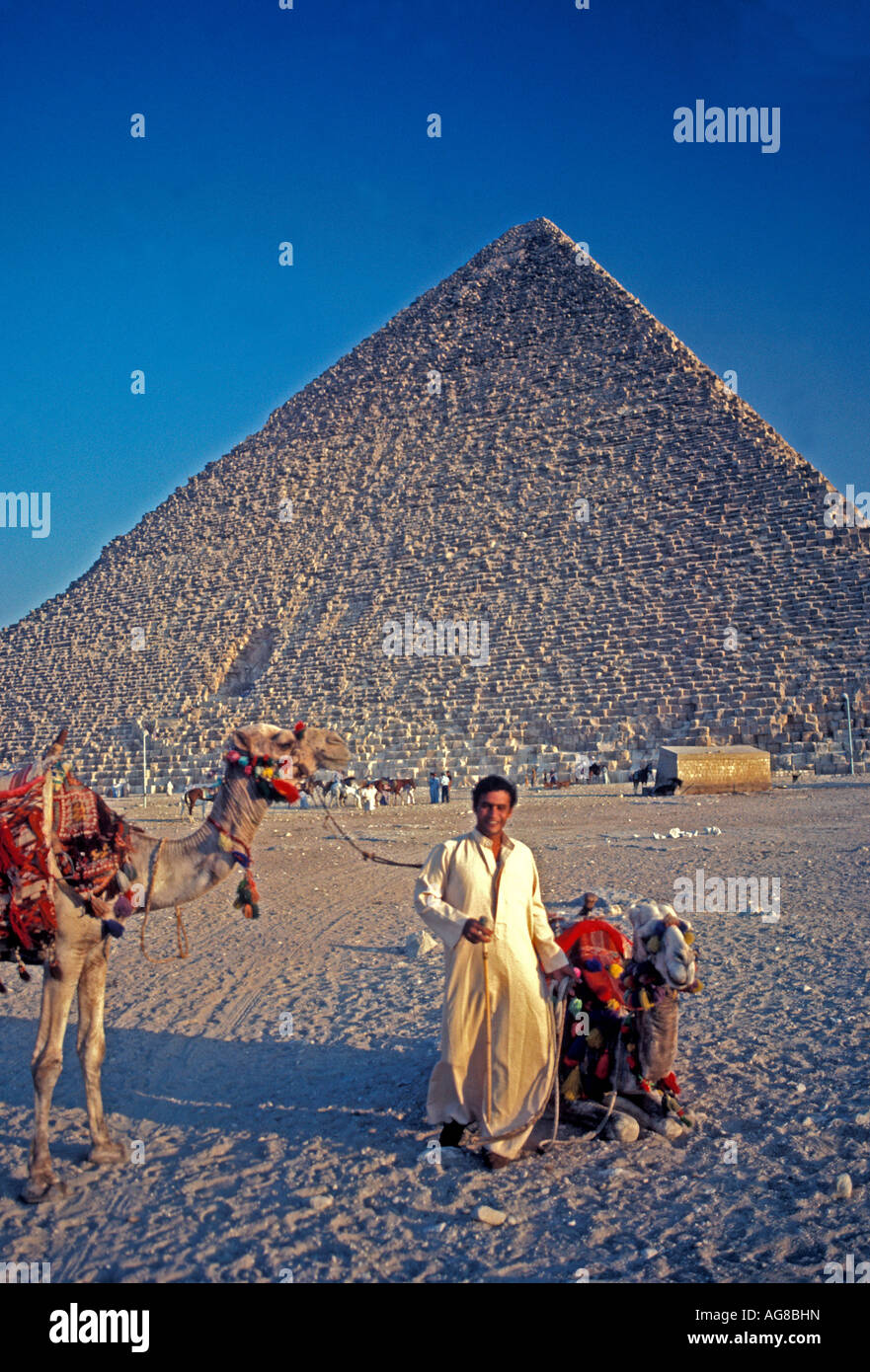 Egitto grande piramide khufu cheope a Giza Egitto uomo egiziano azienda cammelli Foto Stock