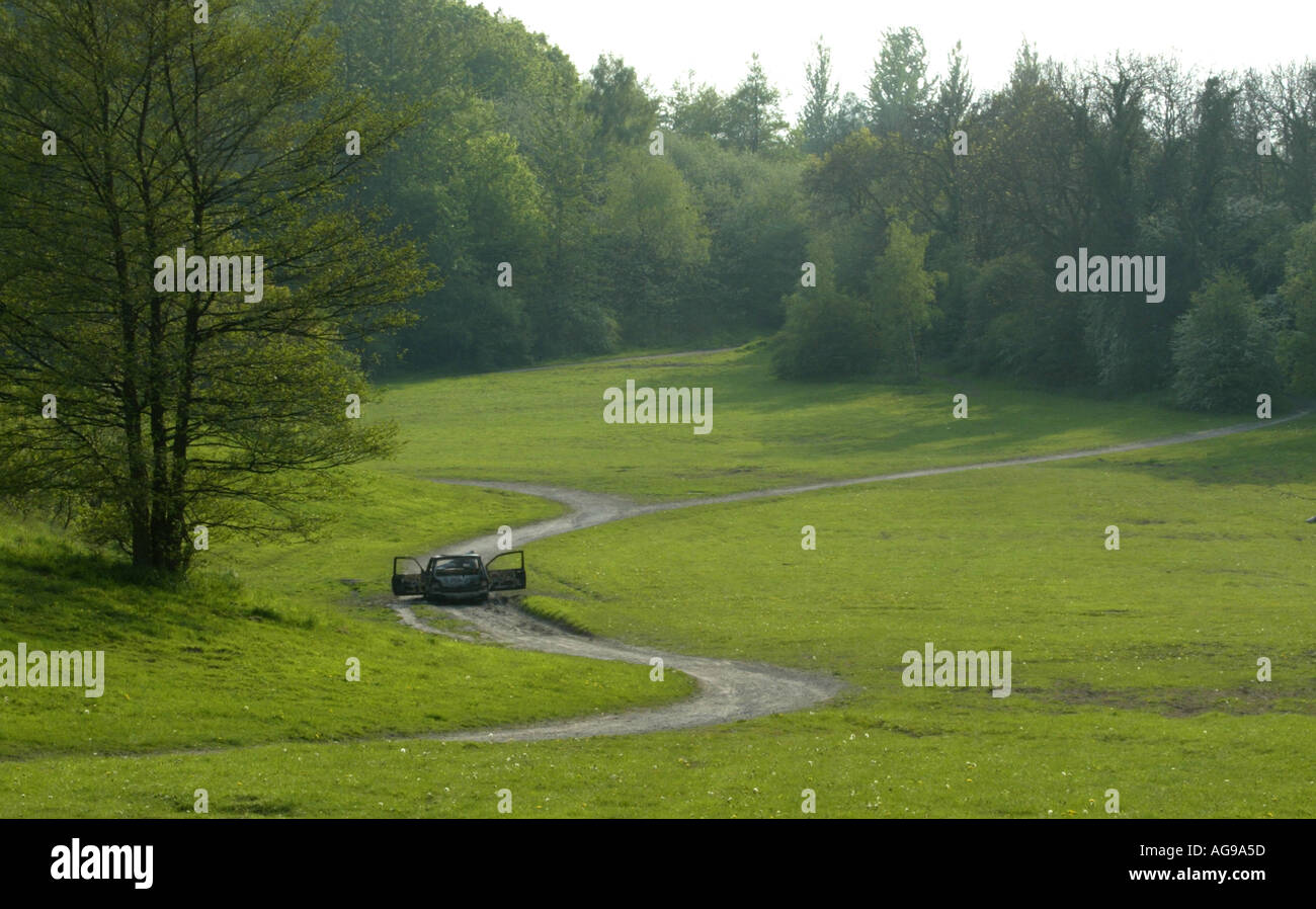 Bruciata furto di auto abbandonate in campagna Foto Stock