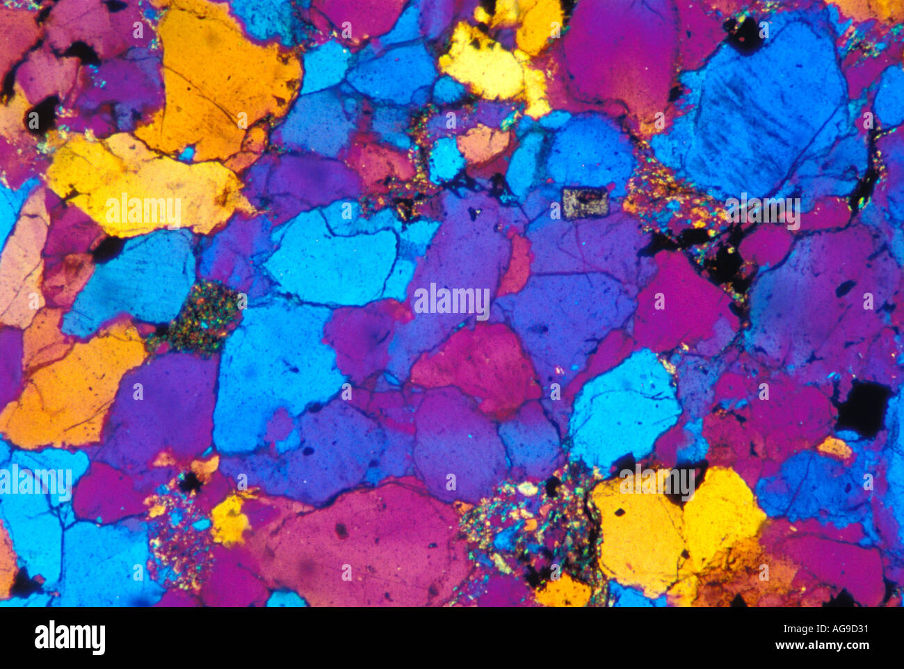 Quarzite vista al microscopio a luce polarizzata Foto stock - Alamy