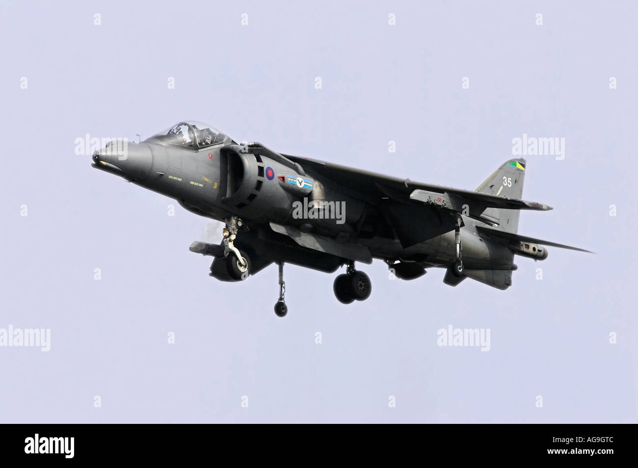 Harrier gr9 Foto Stock