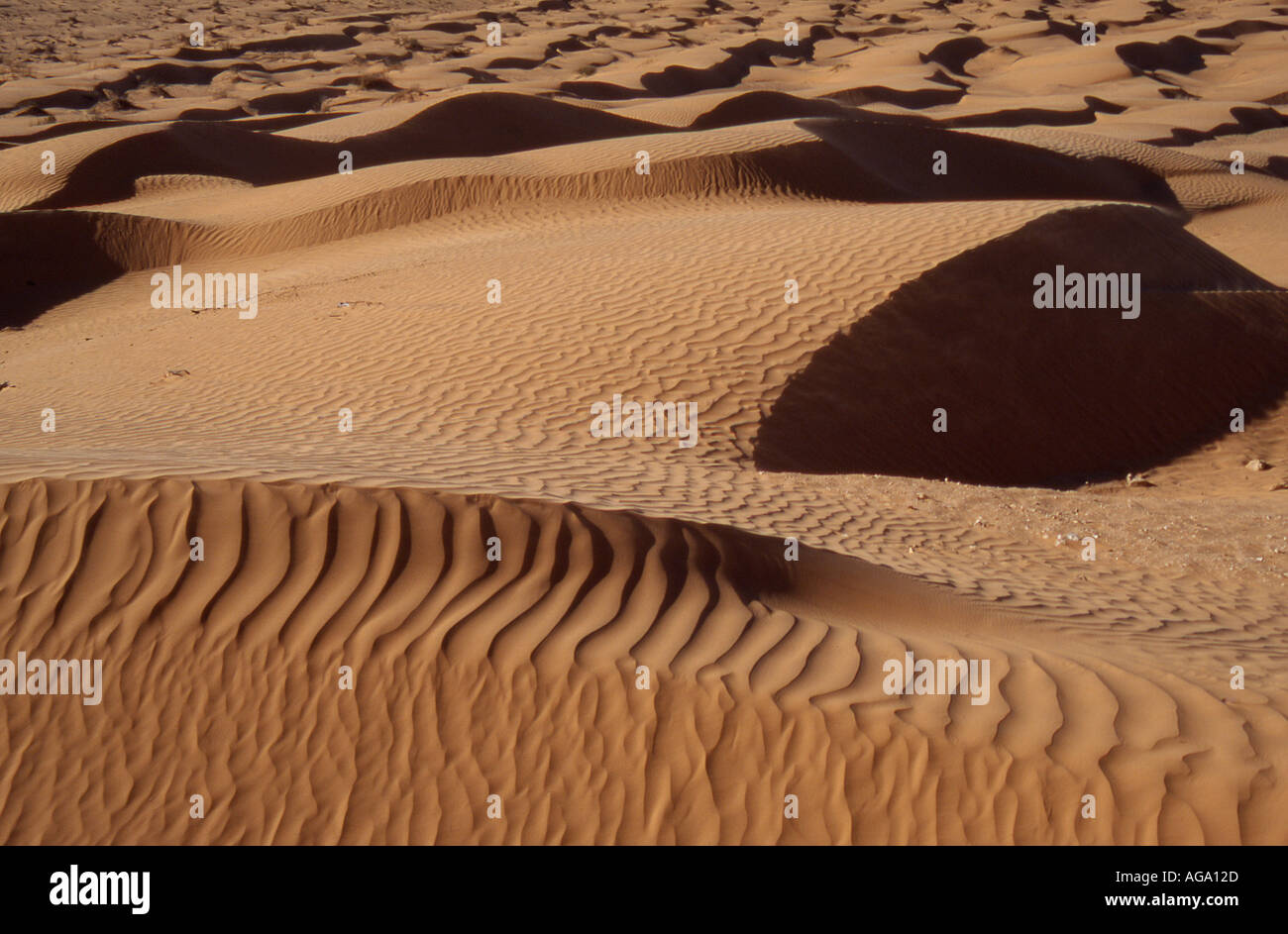 Tunisia le grandi dune di sabbia nel sud della Tunisia Foto Stock