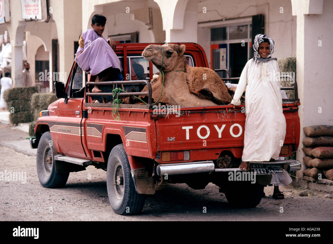 In cammello pickup truck In Sohar In Oman Foto Stock