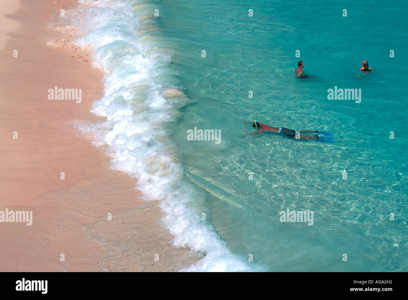 Rosa Bermuda sabbia spiaggia nuotatore vicino a riva Foto Stock