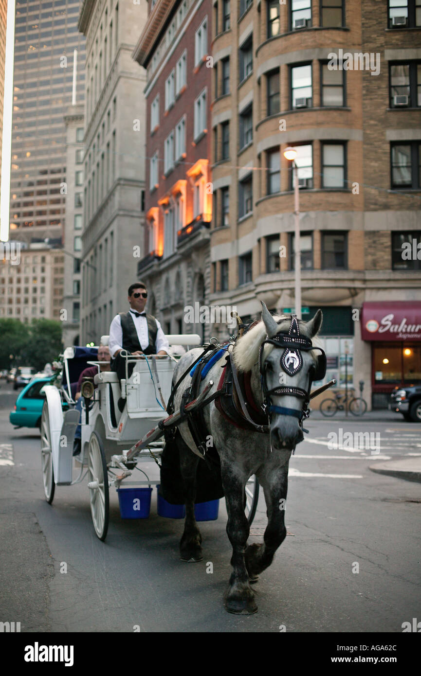 Cavallo e Carrozza Boston MA Foto Stock