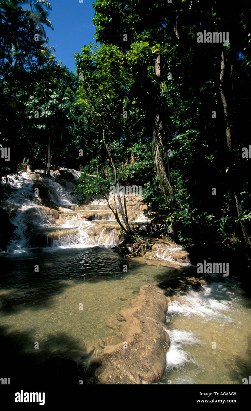 Giamaica Dunns River Falls Ocho Rios giamaicano attrazione turistica di punto di riferimento Foto Stock