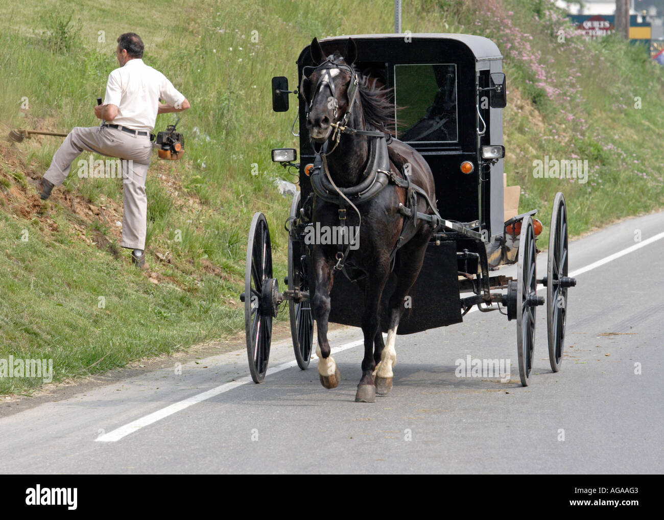 Cavallo e buggy e giardiniere utilizzando weed whacker Foto Stock