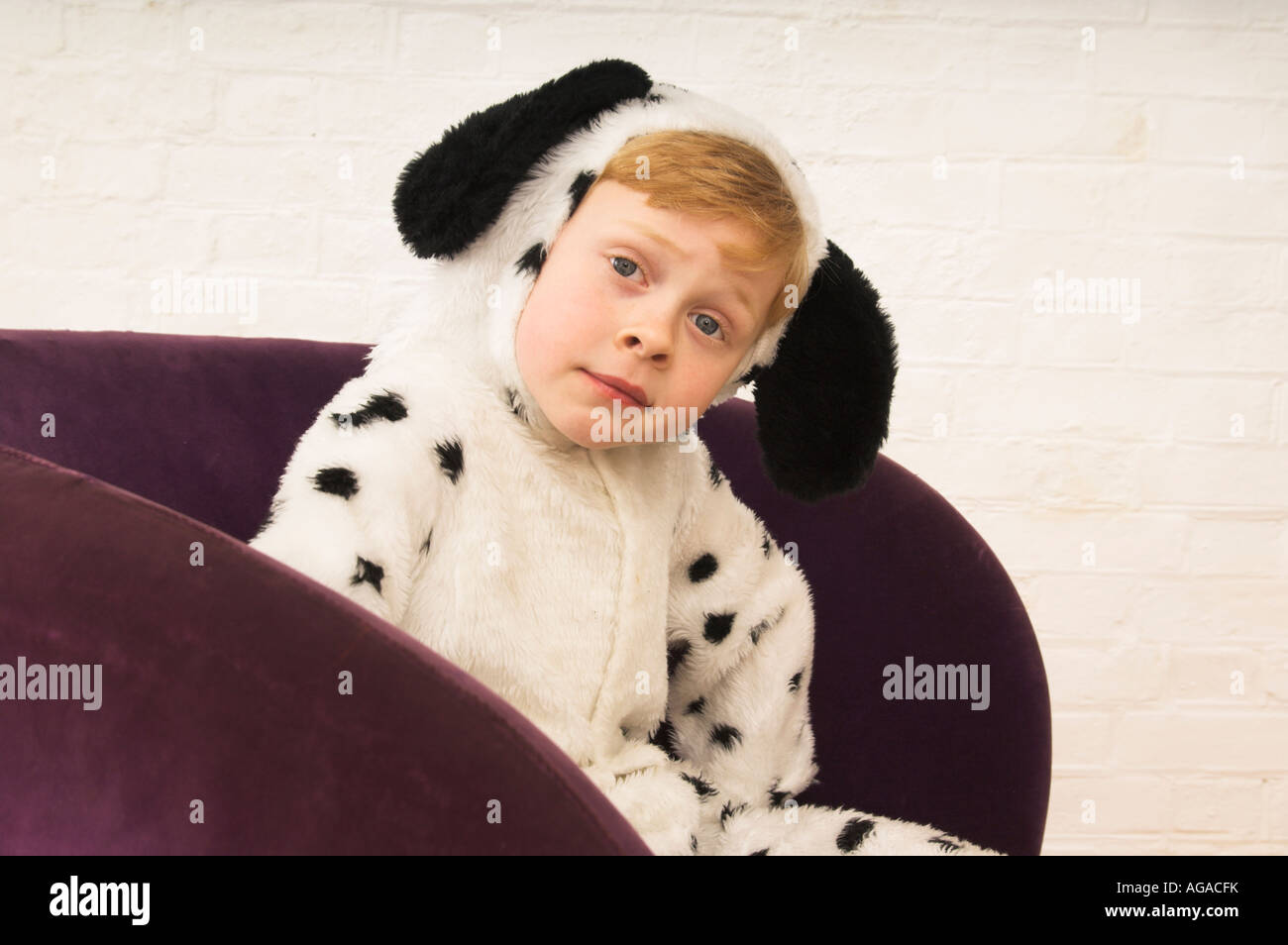 Ritratto di little boy in costume come cane dalmata Foto Stock