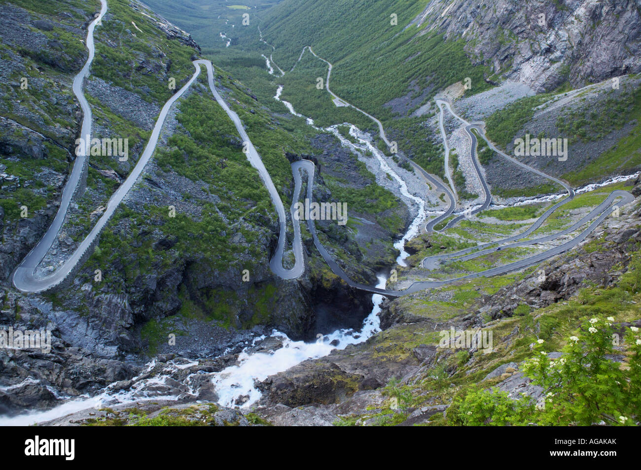 I tornanti della strada Trollstigen Rauma More og Romsdal Norvegia Trollstigen Mezzi Troll percorso o scala di Troll Foto Stock