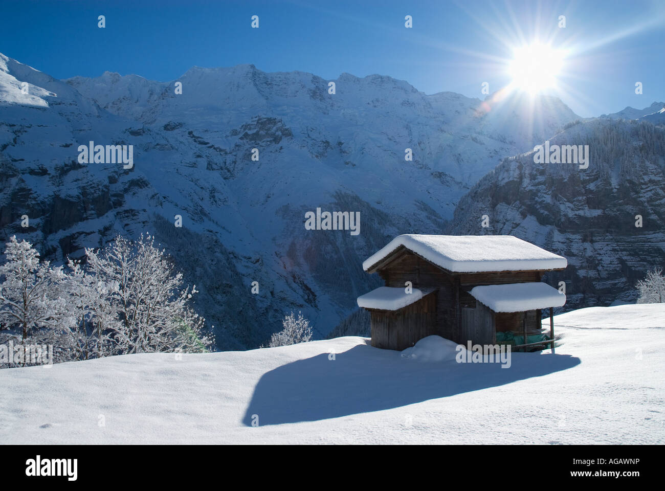 Coperte di neve montagna alpina fienile in inverno con Sun in background nel villaggio di Gimmelwald, Alpi Bernesi, Svizzera Foto Stock