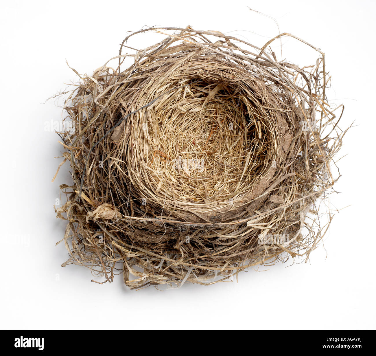 Vuoto di nidificazione degli uccelli Foto Stock