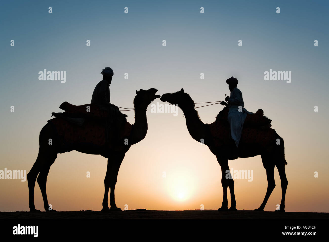 Silhouette di due cammelli con driver al tramonto grande deserto di Thar al di fuori di Jaisalmer Rajasthan India modelli immessi Foto Stock
