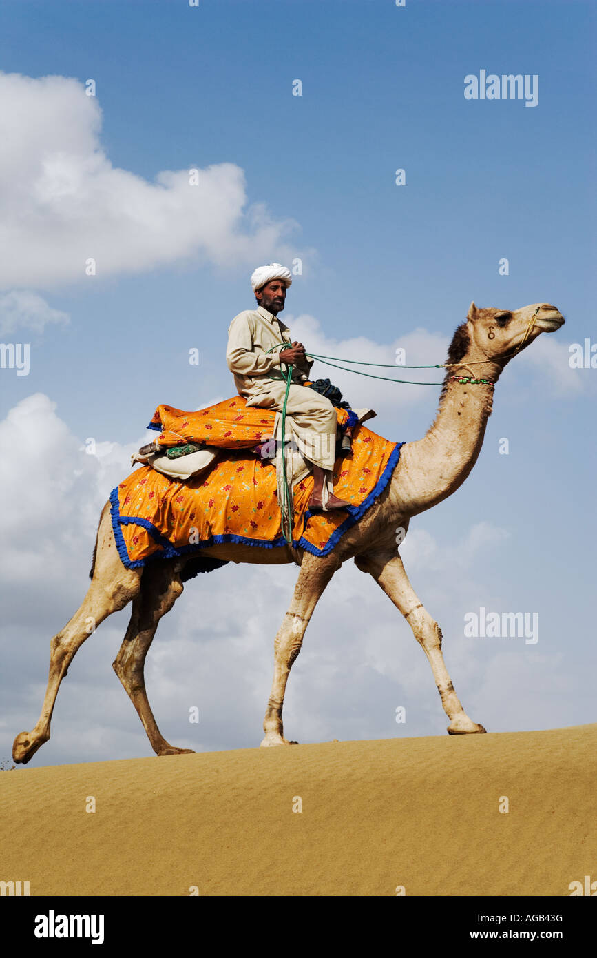 Cammello con conducente a piedi attraverso il grande deserto di Thar al di fuori di Jaisalmer Rajasthan India Modello rilasciato Foto Stock