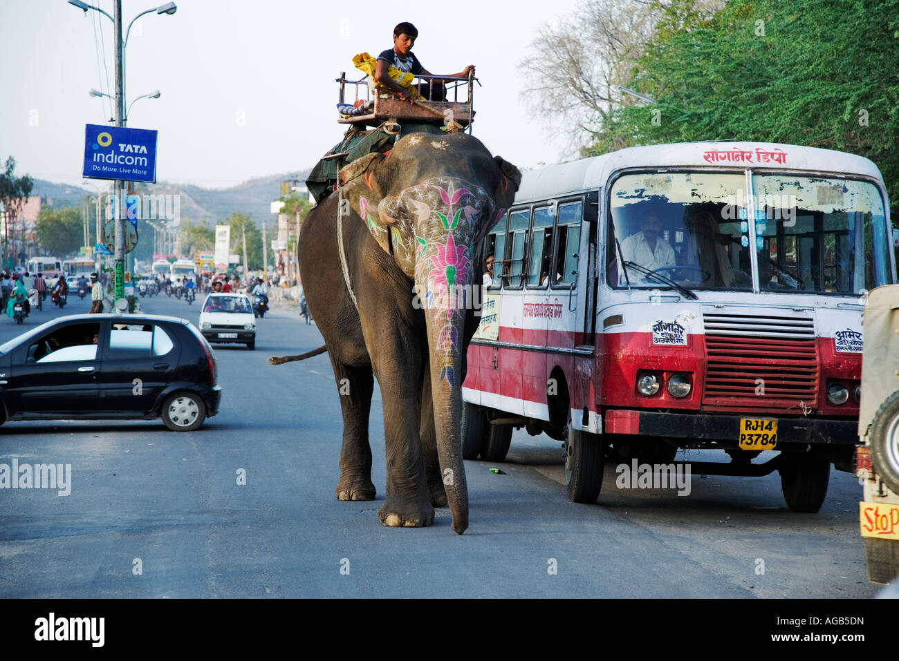 Decorate elephant camminando attraverso le strade affollate di Jaipur la città rosa del Rajasthan in India Foto Stock