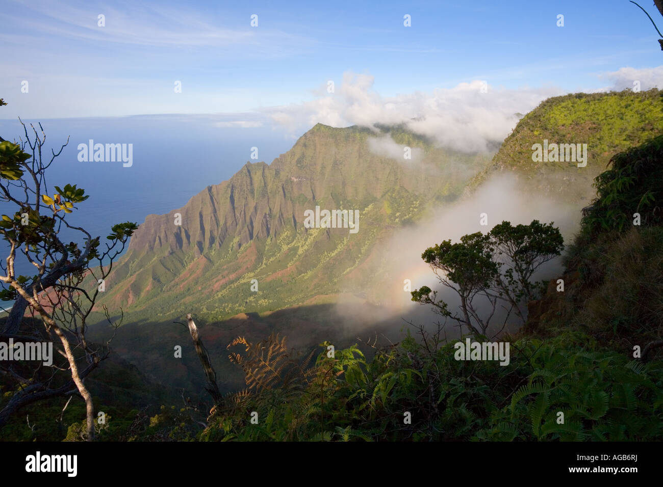 Kalalau Lookout Kokee State Park Kauai Hawaii Foto Stock