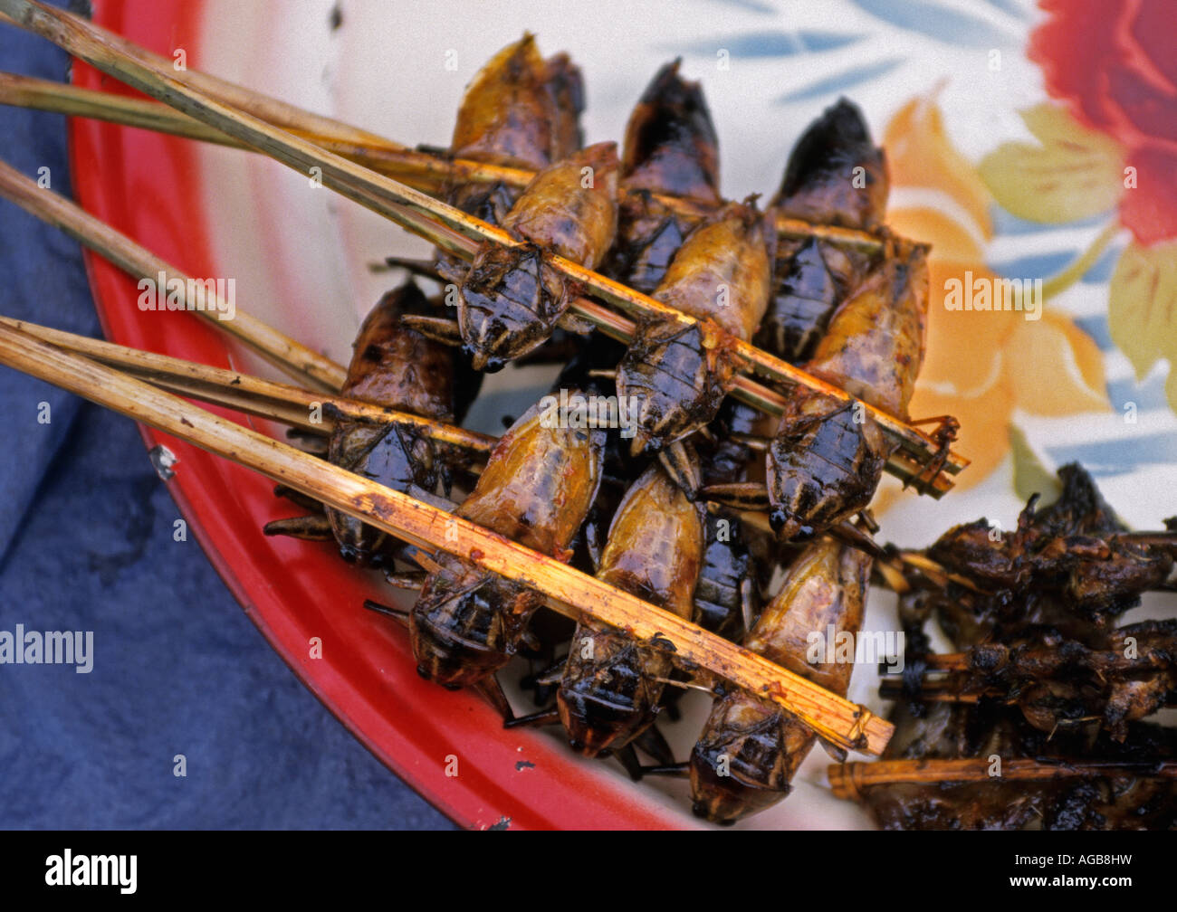 Laos, Luang Namtha e grigliate di coleotteri sul mercato Foto Stock