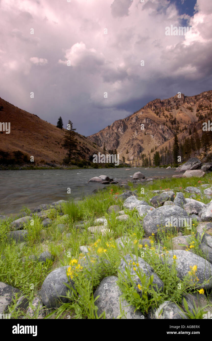 Forcella centrale del fiume di salmoni del fiume o di non ritorno nella chiesa di Frank deserto di Idaho USA Foto Stock