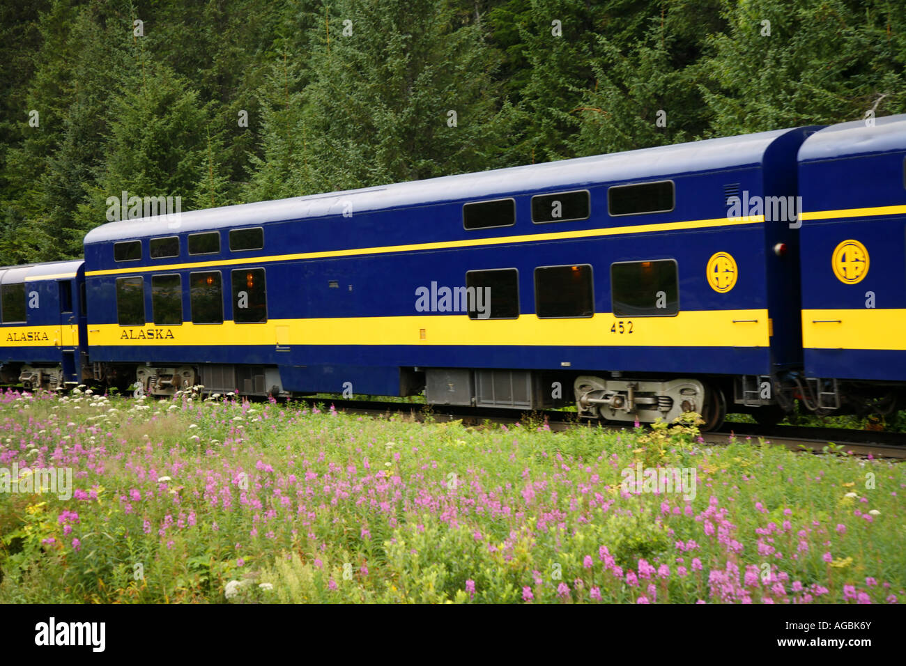 Alaska Railroad vagone ferroviario, Alaska. Foto Stock