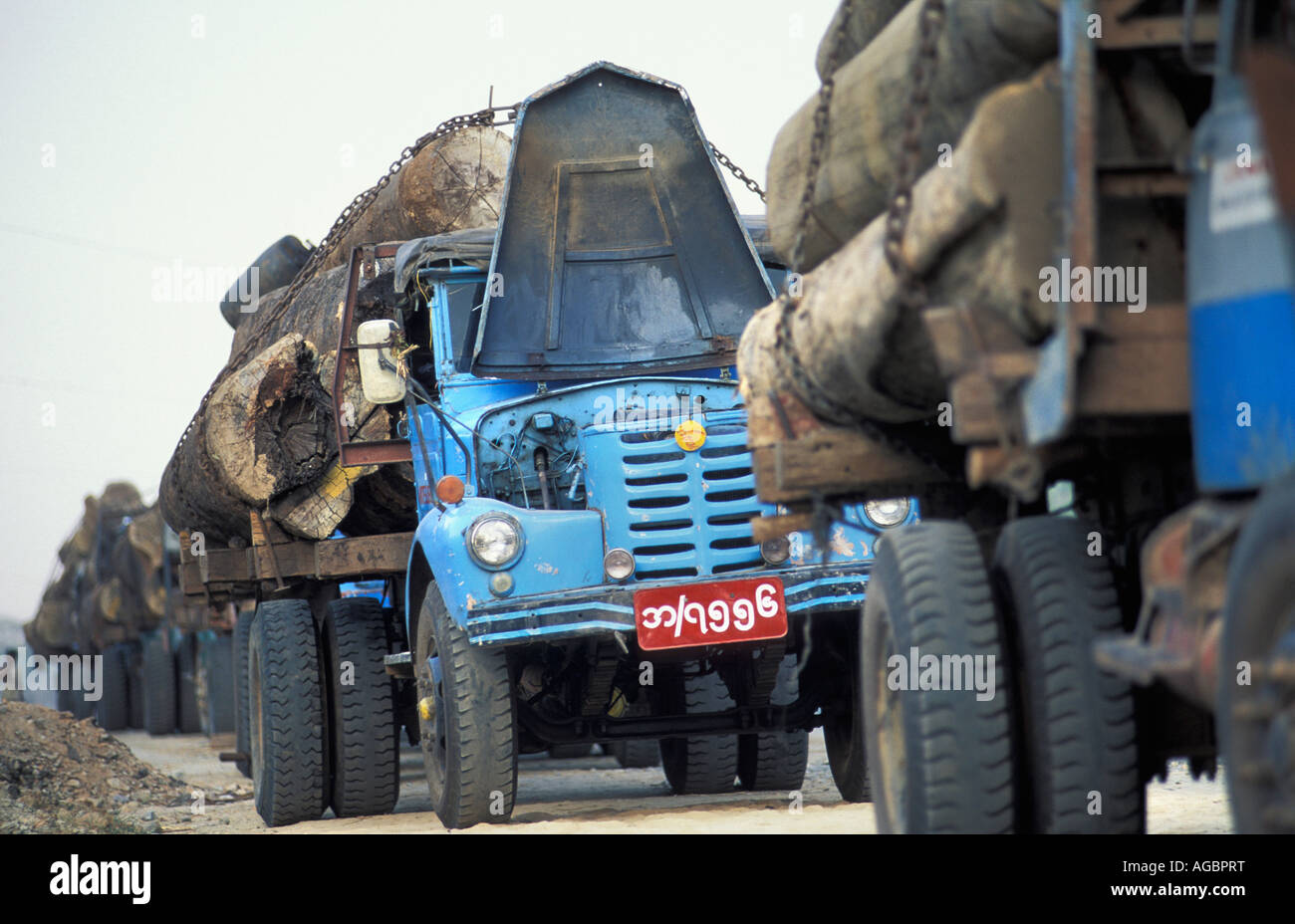Myanmar, Bago, dei camion che trasportano i registri in teak Foto Stock