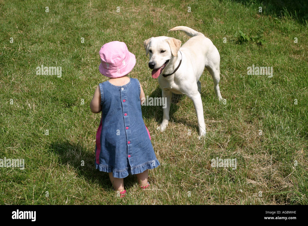 Una bambina con il suo animale domestico Labrador. Foto Stock