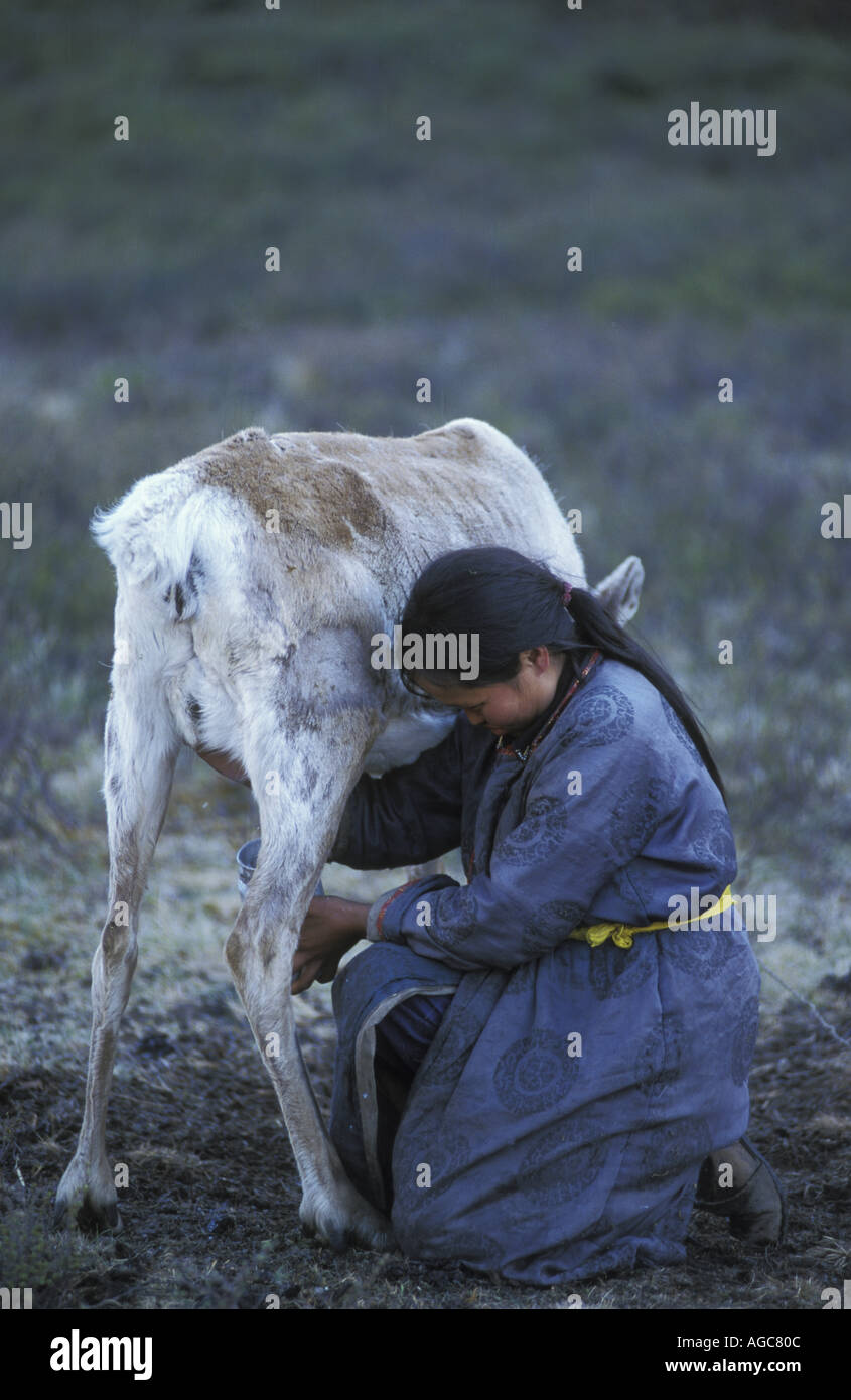 Il Dukha, Dukhans o Duhalar (: Mongola Tsaatan) sono una piccola Tuvan comunità turche di renne di pastori che vivono nel nord della Mongolia Foto Stock