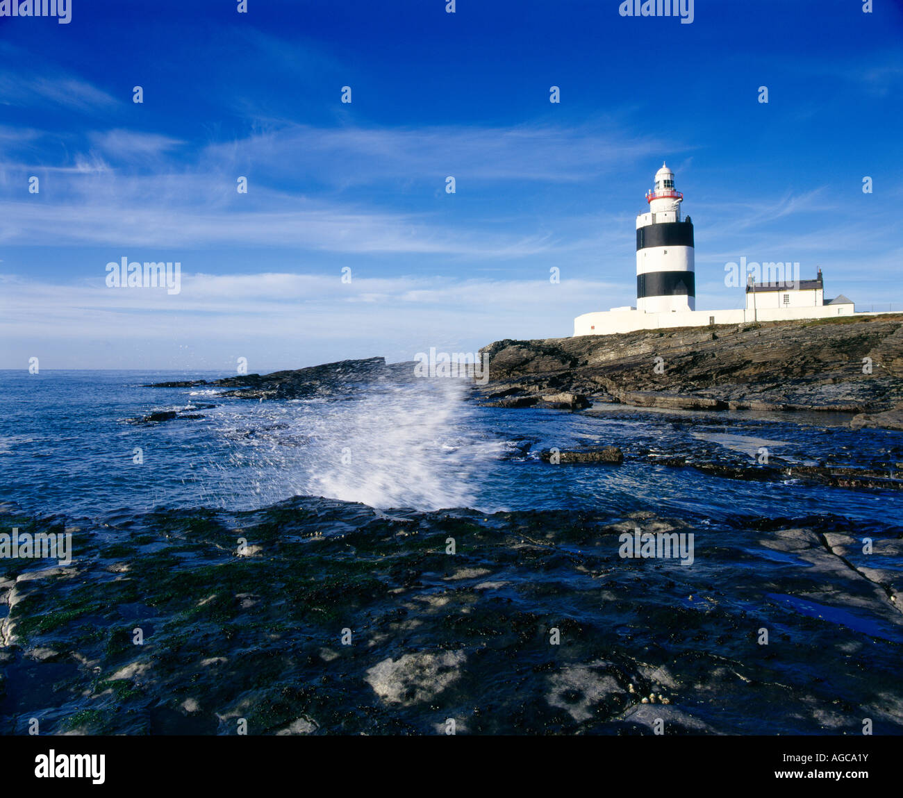 Coste rocciose a hook head lighthouse Co Wexford in Irlanda Foto Stock