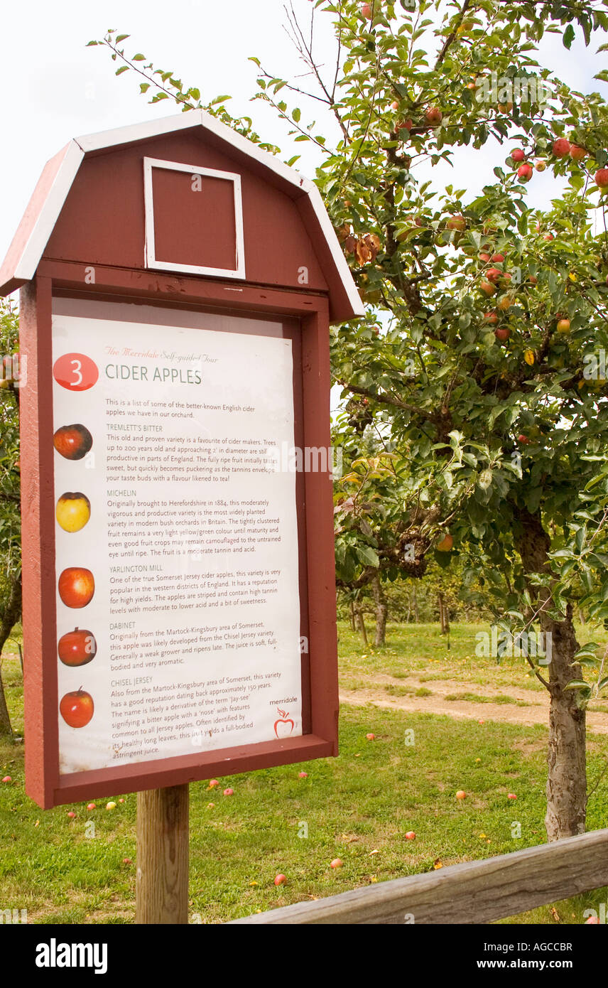 Apple farm segno per spiegare la varietà di mele coltivate in una fattoria in Valle di Cowichan, Isola di Vancouver, British Columbia. Foto Stock