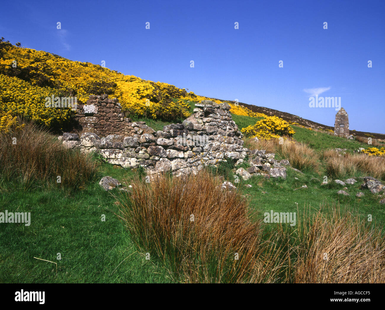 dh Highland clearances croft BADBEA VILLAGE CAITHNESS SCOZIA insediamento rovinato cottage casa highlands clearance Foto Stock