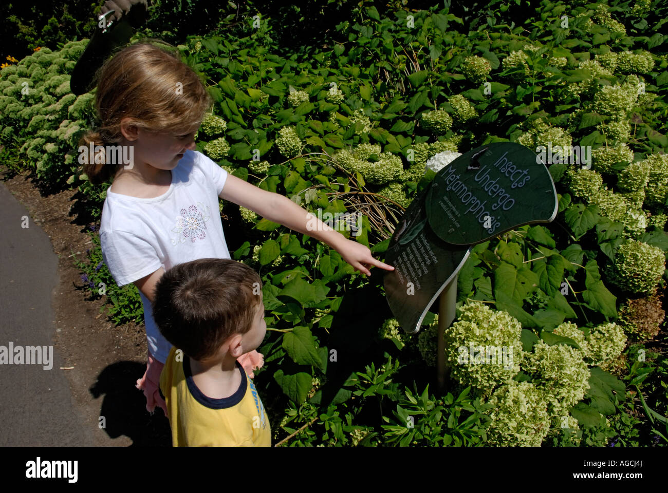 Due bambini che guardano un segno interpretative sulla metamorfosi delle farfalle in un giardino delle farfalle presentano presso il Bronx Zoo Foto Stock