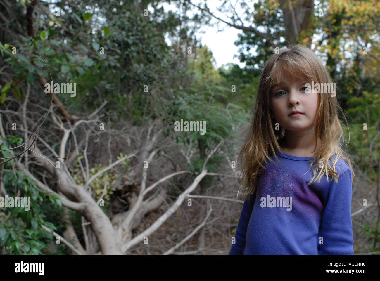 Bambino femmina impassibile guardando nella telecamera, in piedi accanto a un albero caduto Foto Stock