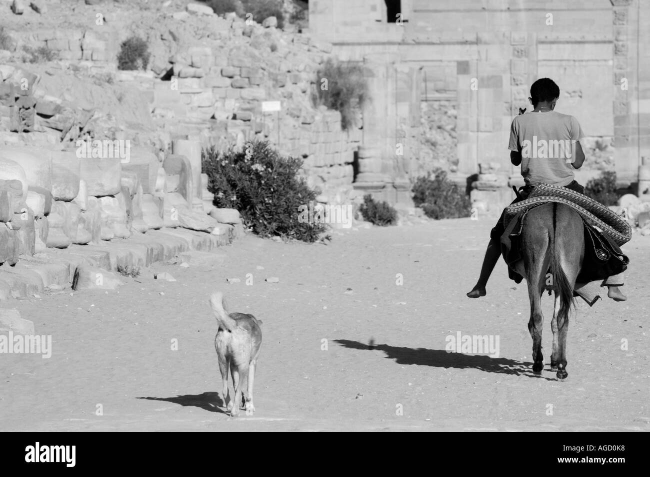 Ragazzo beduino cavalcando un asino con un cane randagio accanto a lui al Cardo Maximus in Petra, Giordania. Foto Stock