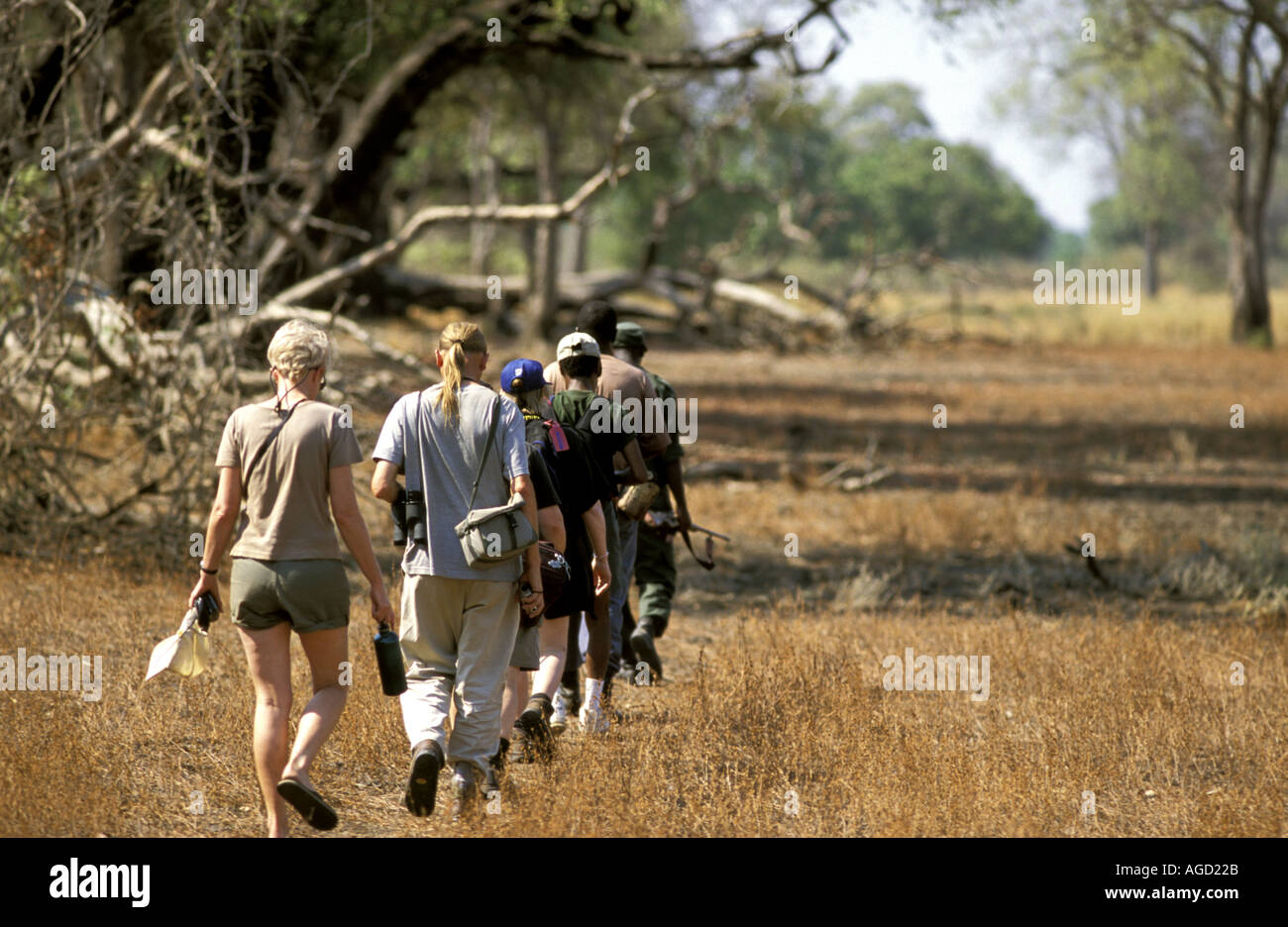 Zambia Africa Sud Luangwa National Park safari a piedi con una guardia armata Foto Stock