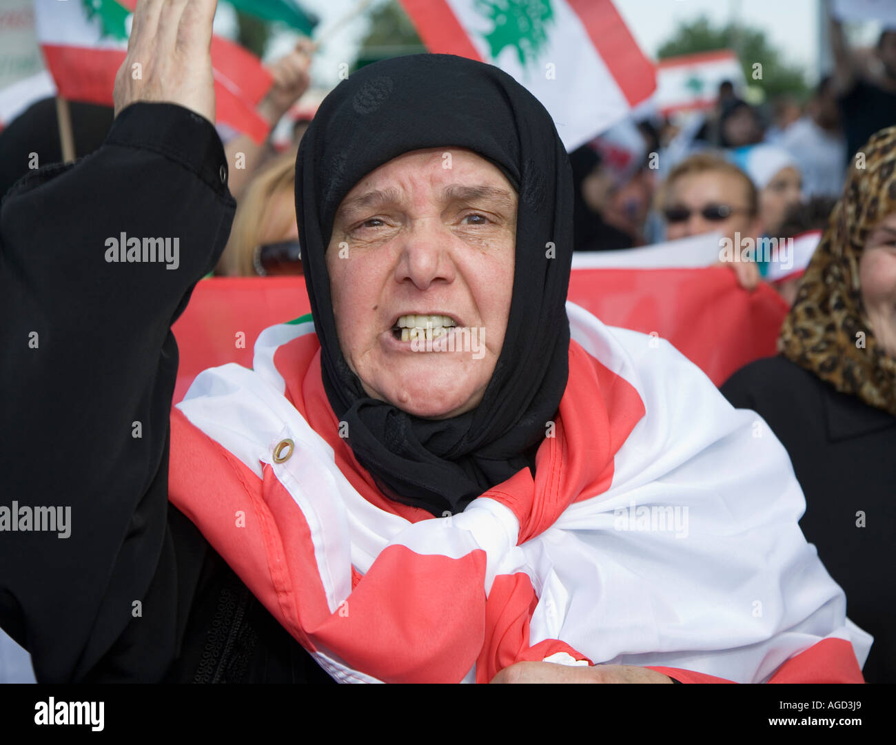 Michigan Dearborn migliaia di arabi americani marzo contro Israele s bombardamenti del Libano Foto Stock