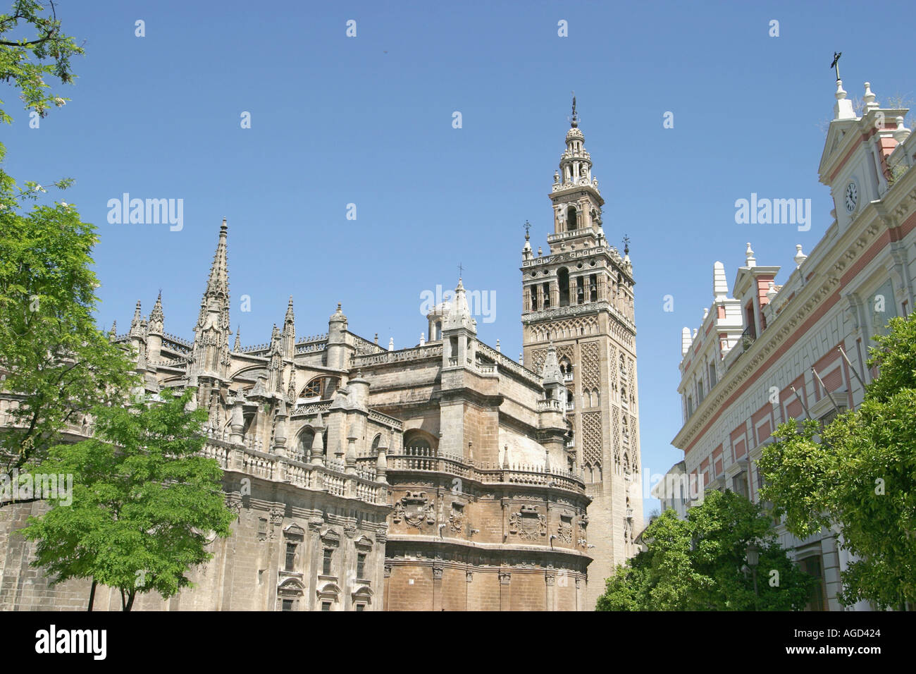 Siviglia Spagna torre Giralda e la cattedrale Foto Stock