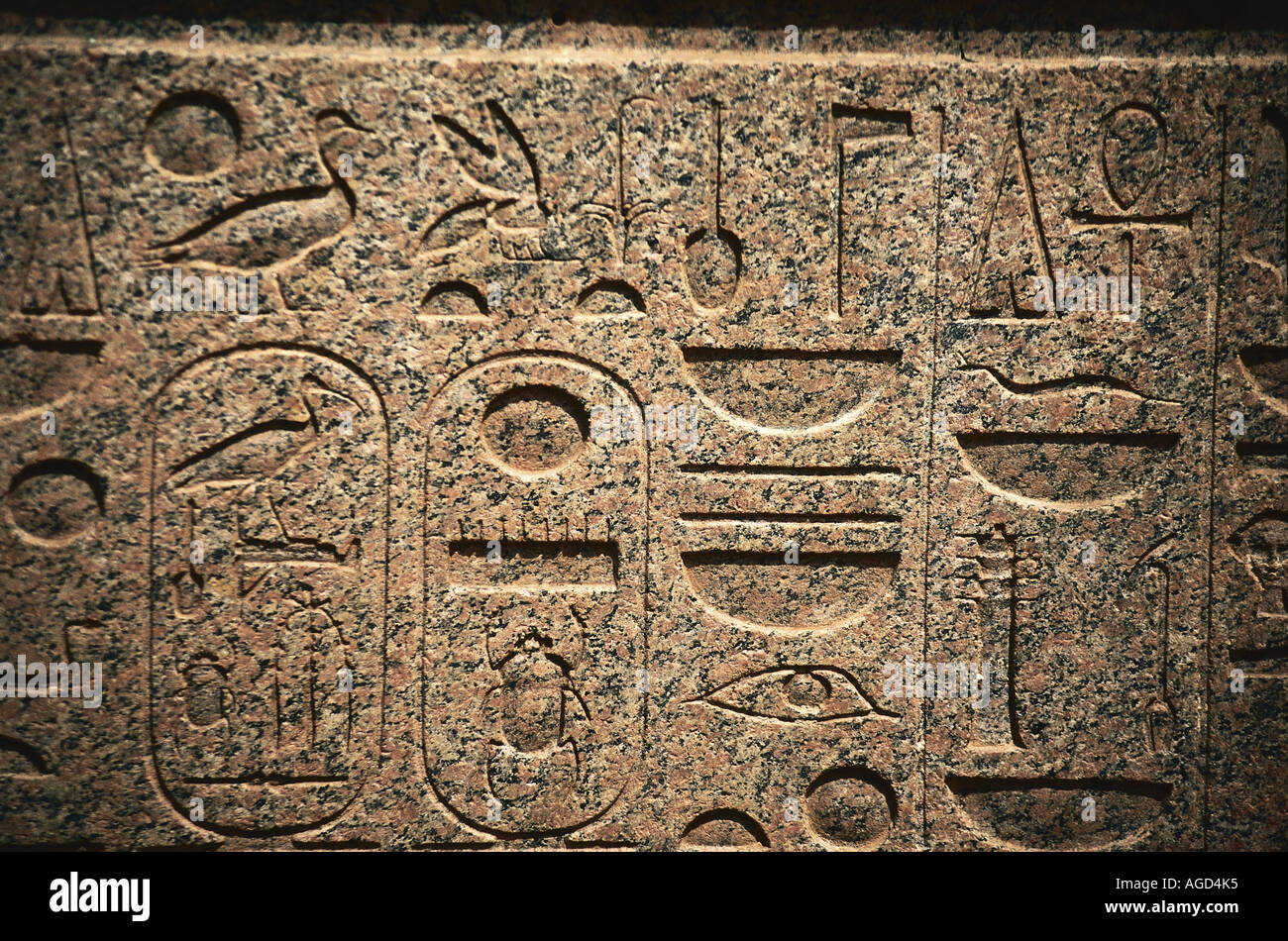 Dettaglio delle sculture a bassorilievo su un sarcofago di Karnak mostra geroglifici dettagliata Foto Stock