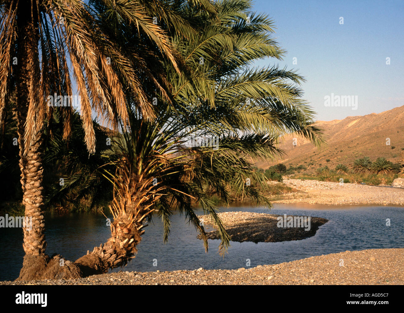 Palm Rock Pool In Sharqiya In Oman Foto Stock