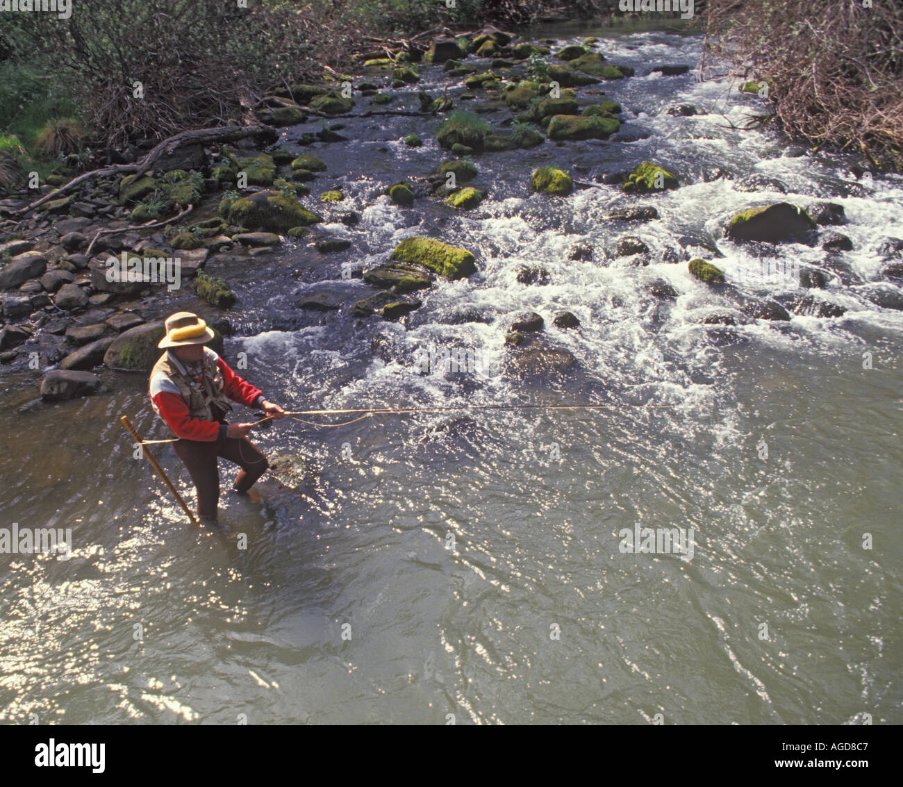 Vista aerea dell'uomo di Pesca a Mosca Report di Pesca su Putah Creek nella California settentrionale Foto Stock