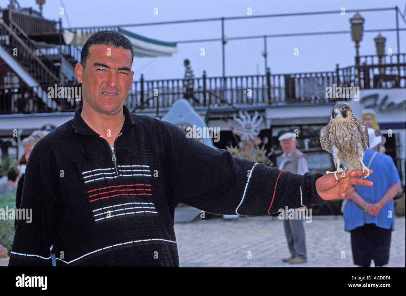 Uomo con uccello sulla mano tesa Foto Stock