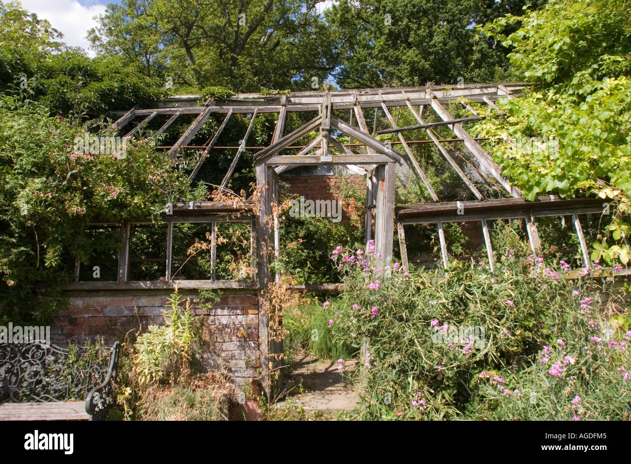 Rovine di serra a Kentwell Hall Long Melford Inghilterra Suffolk REGNO UNITO Foto Stock