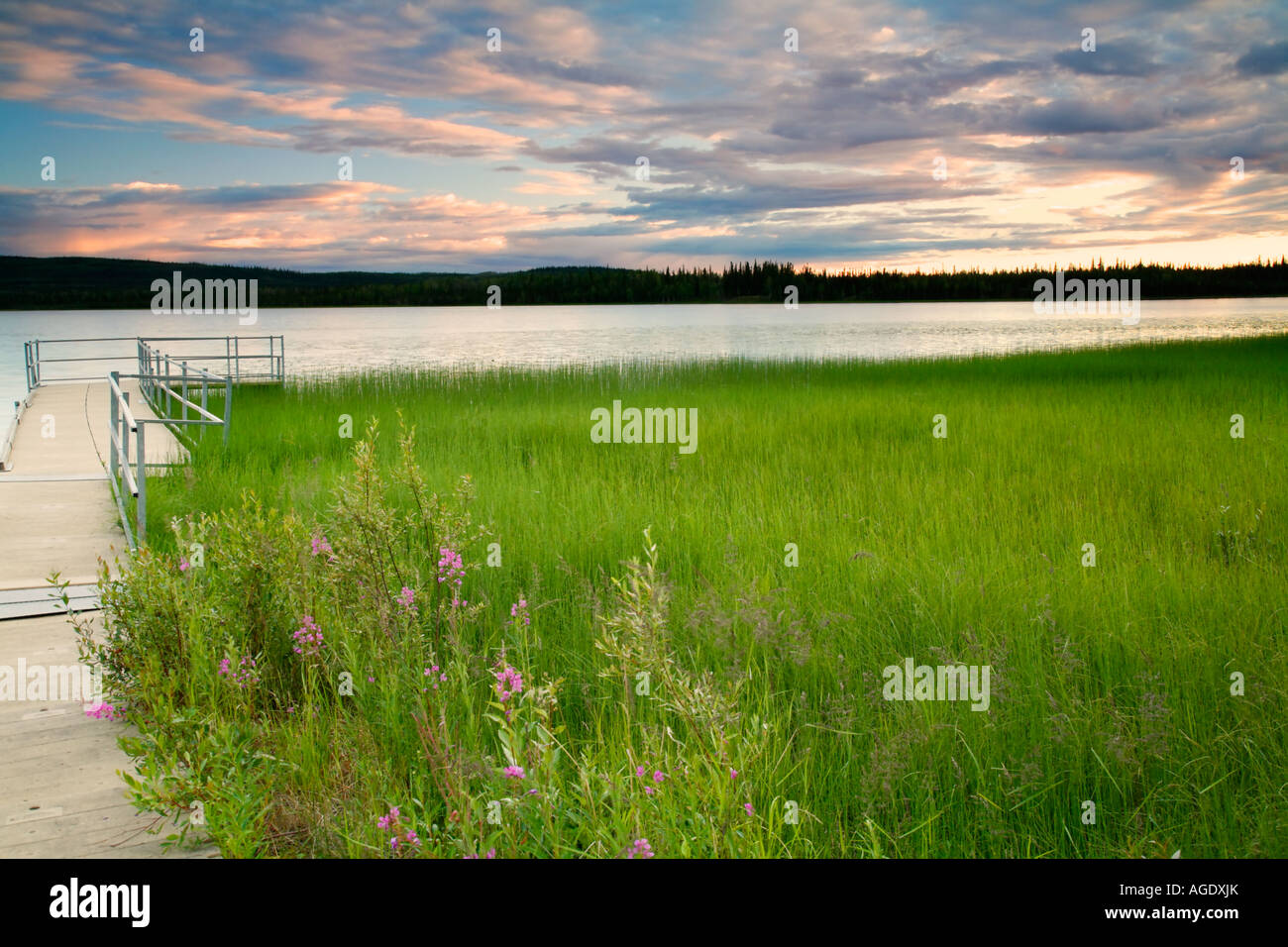 Lago di uomo morto Tetlin National Wildlife Refuge Alaska Foto Stock