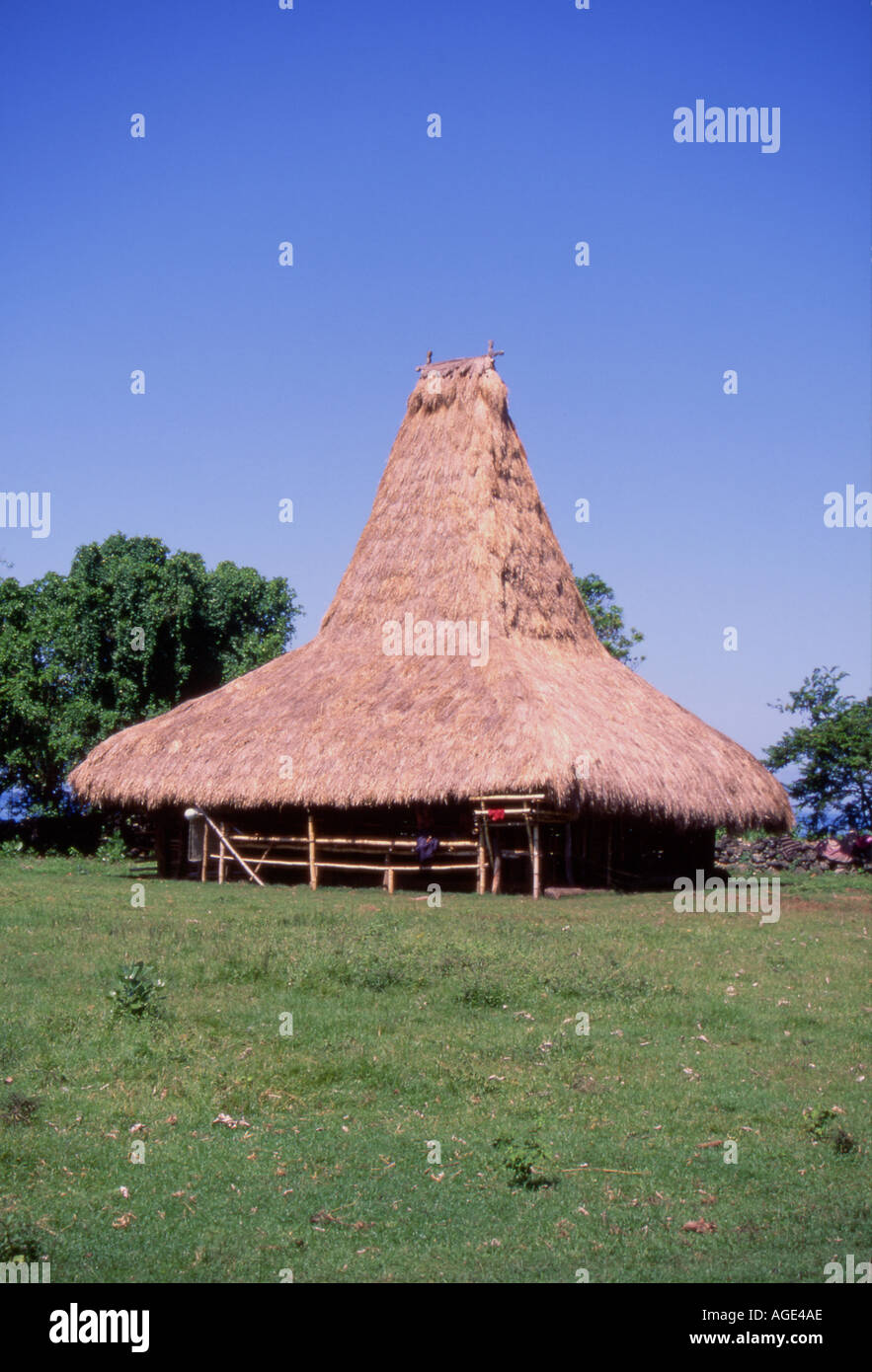 Indonesia Sumba tradizionale tronco di casa Foto Stock