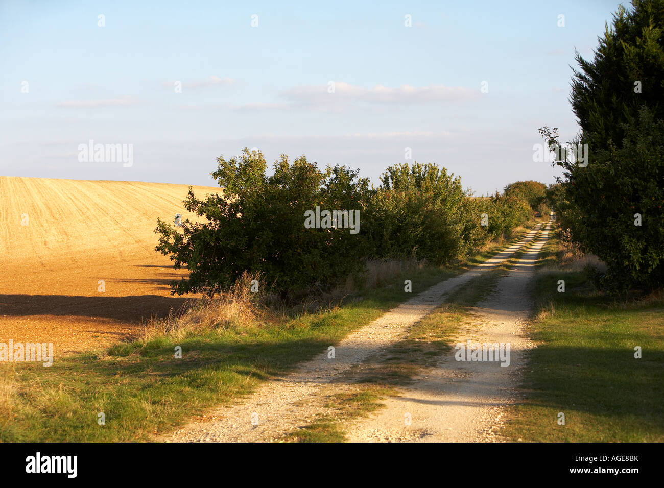 Paese lungo la corsia IN FRANCIA RURALE CON SUN E OMBRE Foto Stock