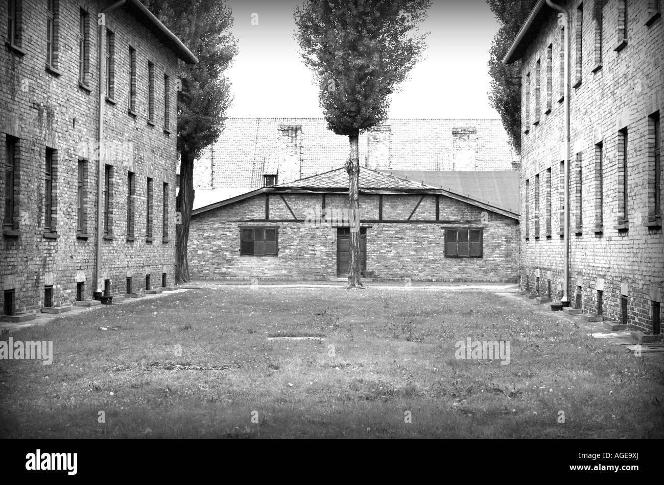 Campo di concentramento nazista di Auschwitz Birkenau, Oswiecim Polonia
